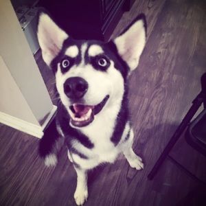 Meet your Posher, Mia